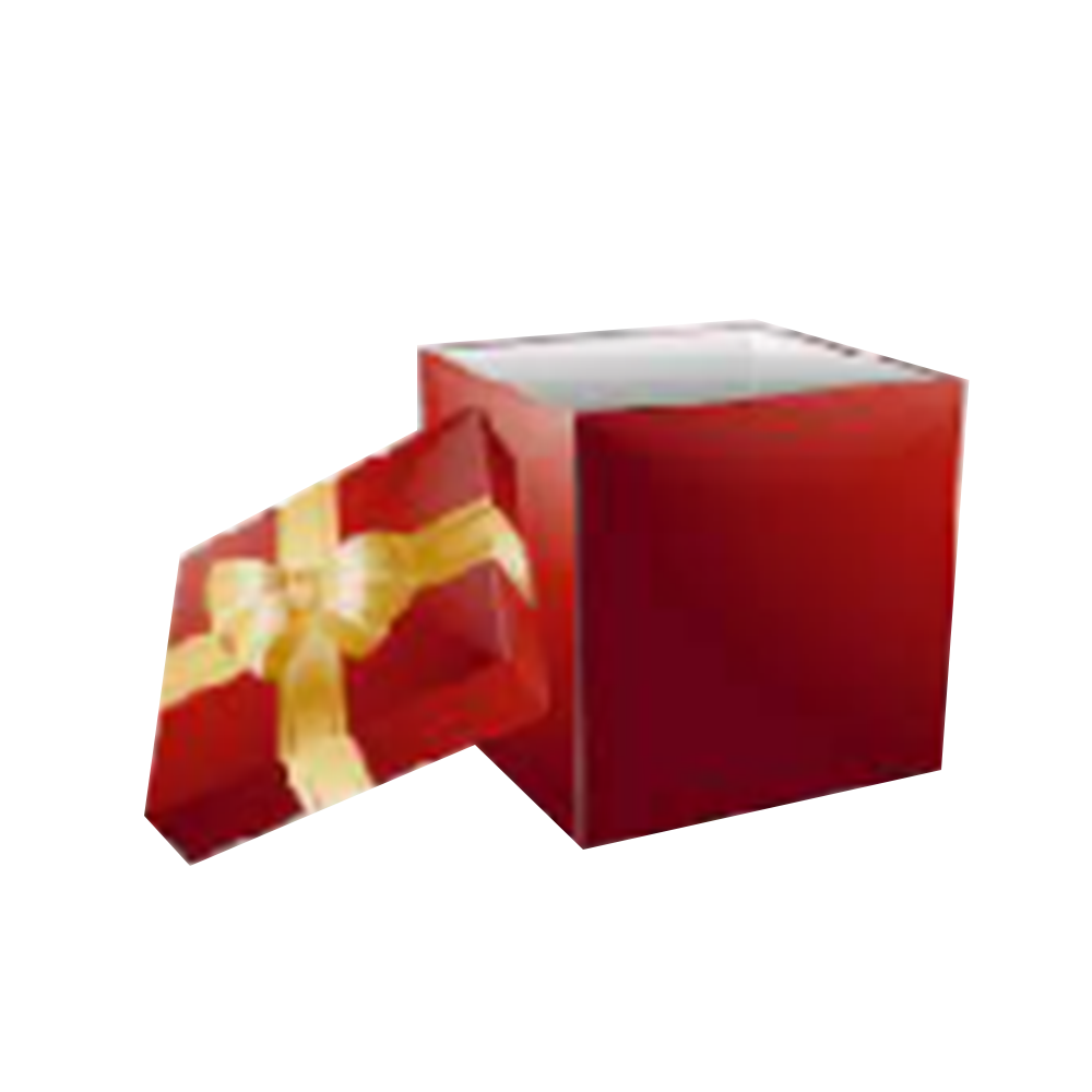 Christmas Gift Box