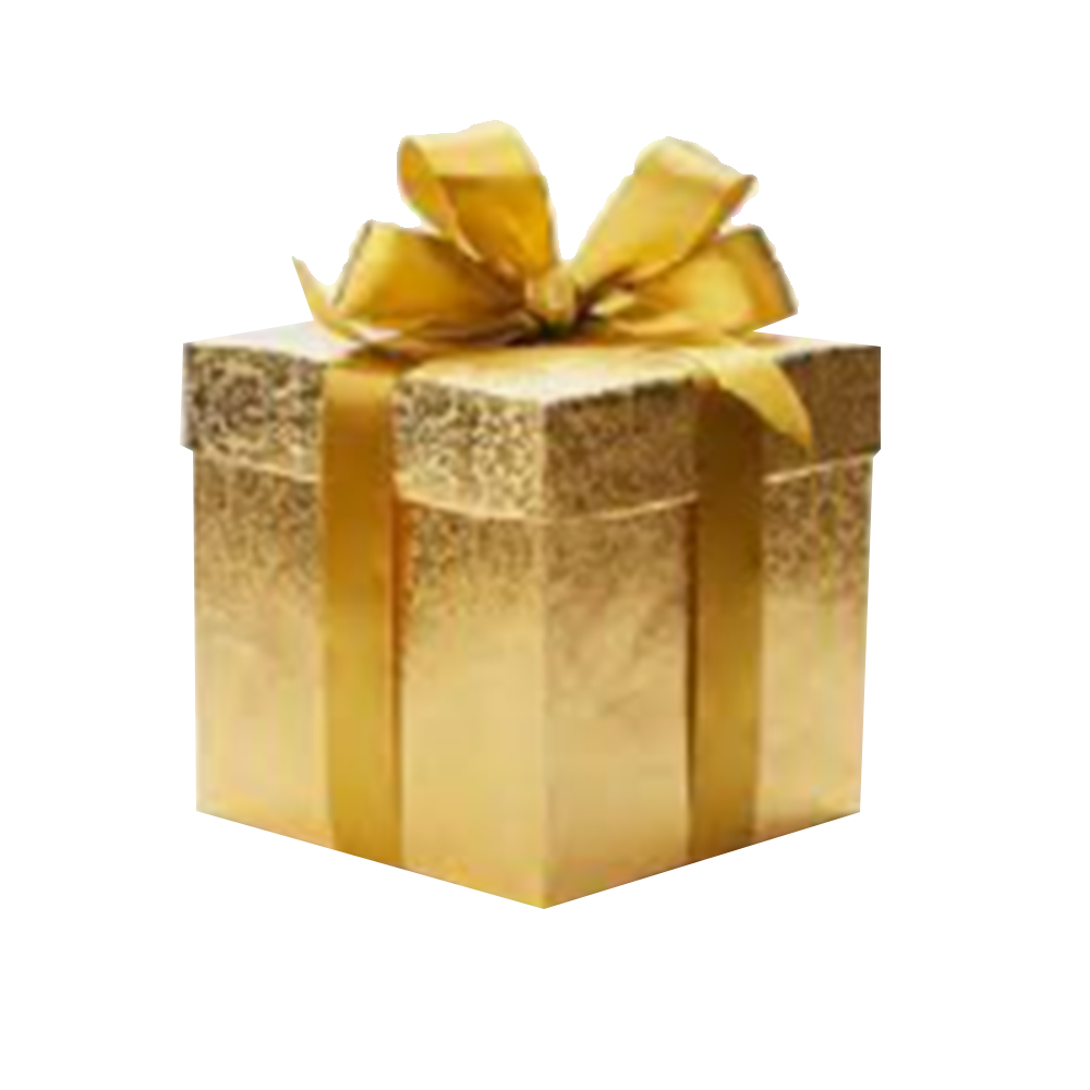 Christmas Gift Box